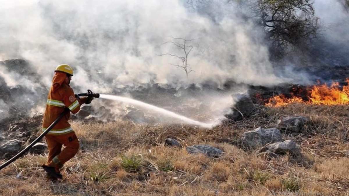 Los incendios se extienden y repiten de manera recurrente durante los meses de verano