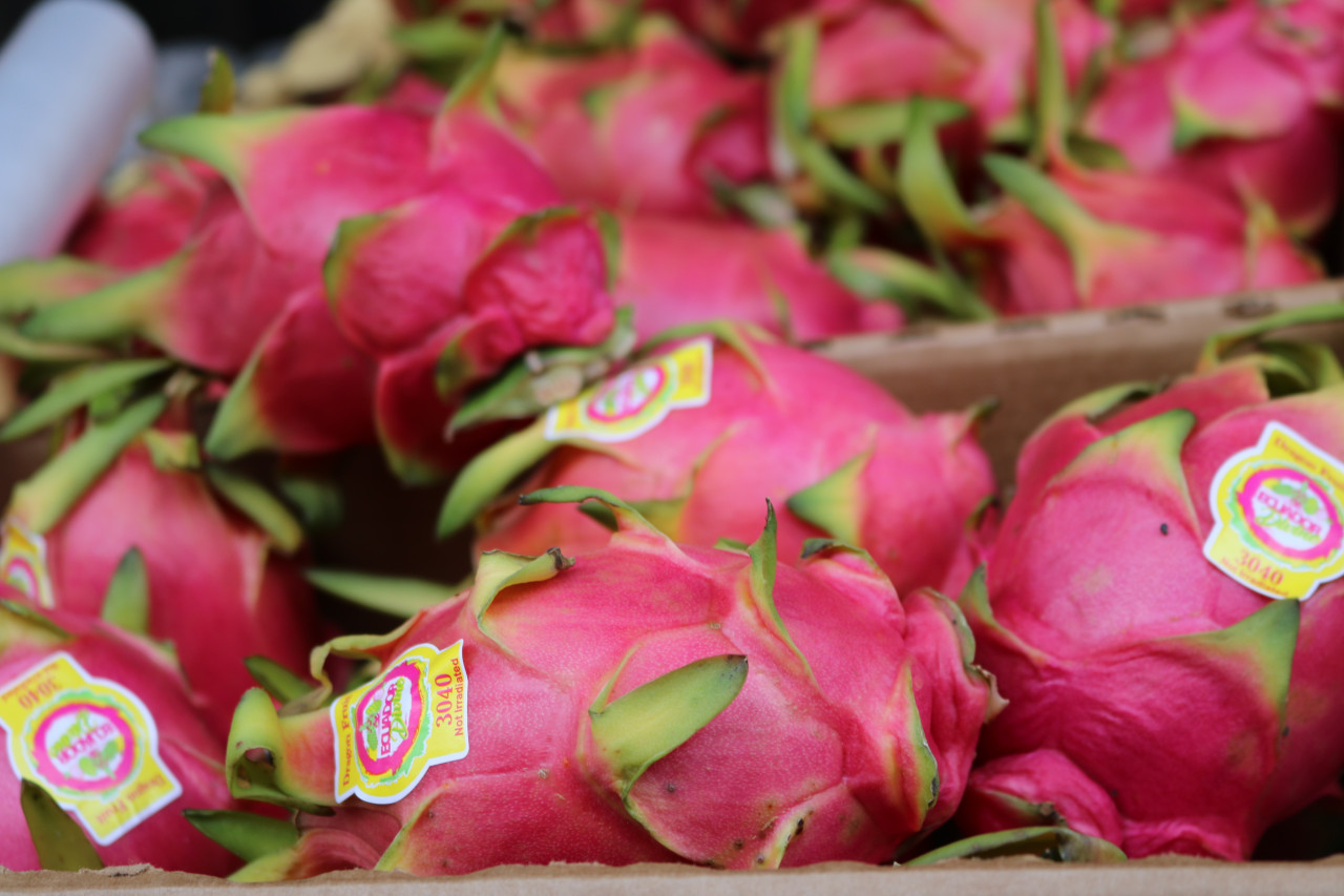 Fruta de dragón. Foto: Unsplash